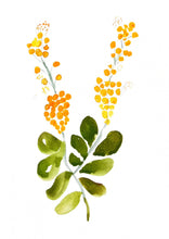 Load image into Gallery viewer, Golden Wattle Wall Art
