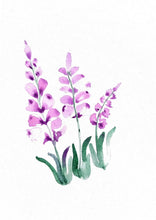 Load image into Gallery viewer, Wild Lavender Watercolour Print