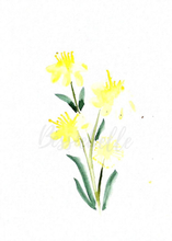 Load image into Gallery viewer, Aniseed Myrtle Watercolour Print
