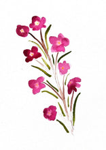 Load image into Gallery viewer, Boronia Watercolour Print

