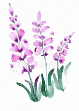 Load image into Gallery viewer, Wild Lavender Watercolour Print

