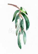 Load image into Gallery viewer, Lemon Scented Eucalyptus Watercolour Print

