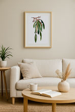 Load image into Gallery viewer, Desert Sandalwood Framed Watercolour Print
