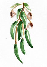 Load image into Gallery viewer, Peppermint Eucalyptus Watercolour Print
