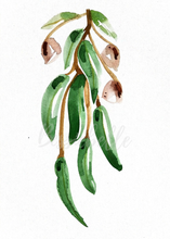 Load image into Gallery viewer, Peppermint Eucalyptus Watercolour Print
