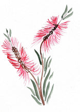 Load image into Gallery viewer, Bottlebrush Wall Art
